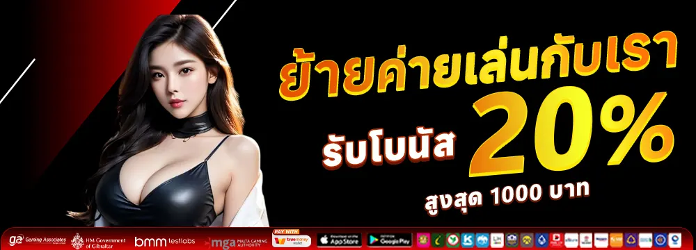 โปรโมชั่น2